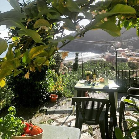 Cozy Beach House With Nice Garden, Basic Feel Apartment Bonassola Bagian luar foto