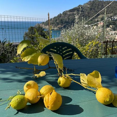 Cozy Beach House With Nice Garden, Basic Feel Apartment Bonassola Bagian luar foto
