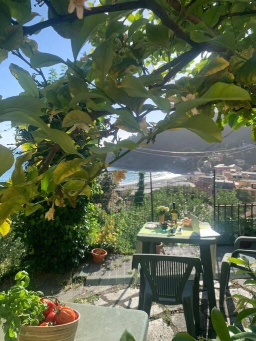 Cozy Beach House With Nice Garden, Basic Feel Apartment Bonassola Bagian luar foto
