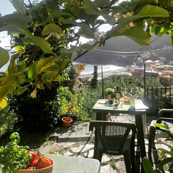 Cozy Beach House With Nice Garden, Basic Feel Apartment Bonassola Bagian luar foto