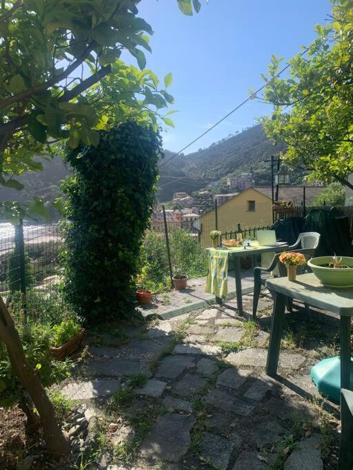 Cozy Beach House With Nice Garden, Basic Feel Apartment Bonassola Bagian luar foto
