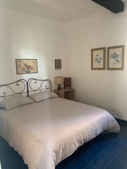 Cozy Beach House With Nice Garden, Basic Feel Apartment Bonassola Bagian luar foto