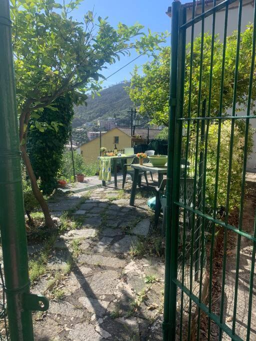 Cozy Beach House With Nice Garden, Basic Feel Apartment Bonassola Bagian luar foto