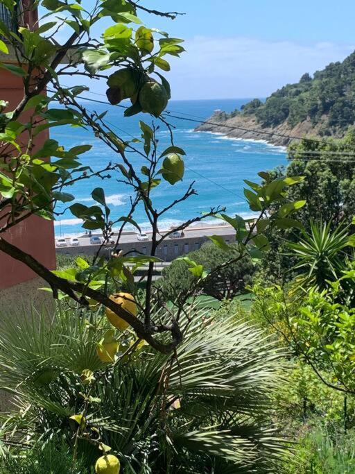 Cozy Beach House With Nice Garden, Basic Feel Apartment Bonassola Bagian luar foto